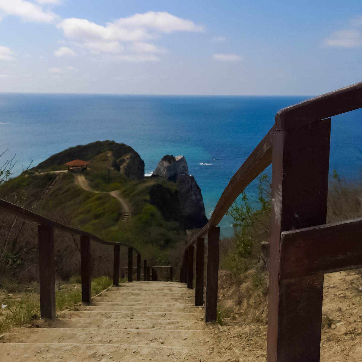 Full day tour, humid forest, local gastronomy and Toquilla straw hats all in one.